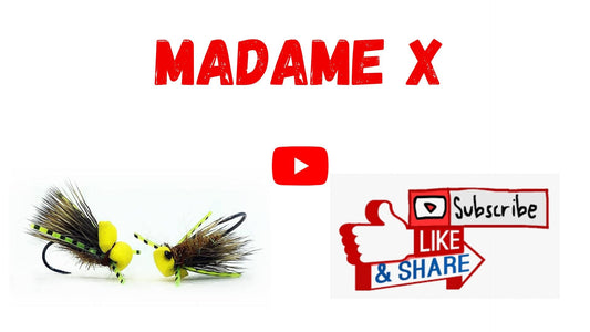 Madame X