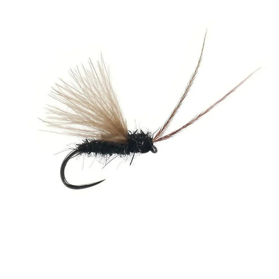 Mosca Black Caddis dry fly artigianale per trote e temoli