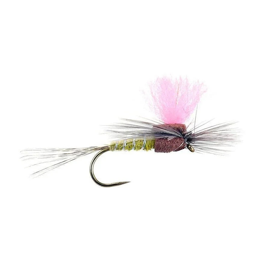Mosca Light Olive dry fly artigianale per trote e temoli