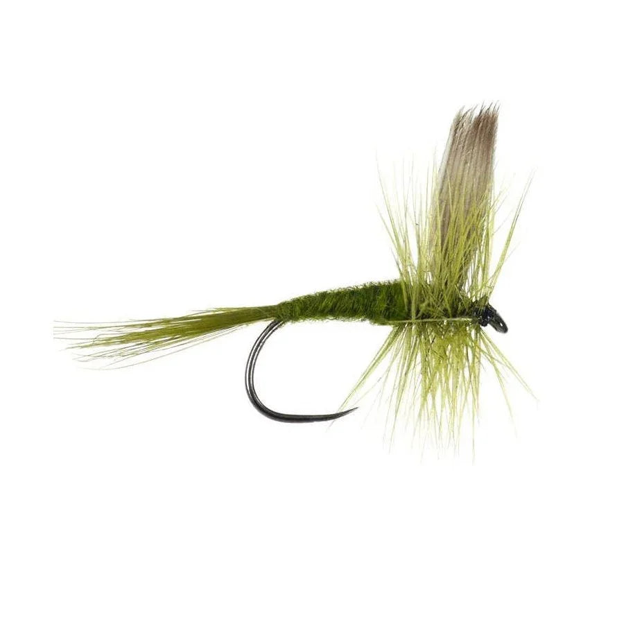 Mosca Olive Dun dry fly artigianale per trote e temoli