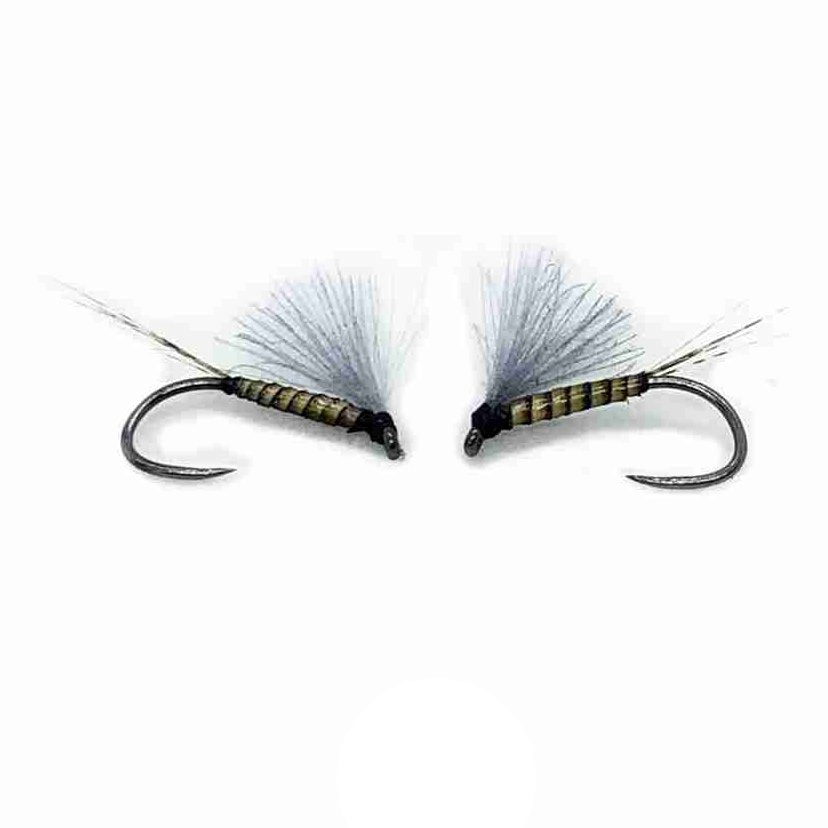 Mosca Olivetta wet fly artigianale per temoli e trote