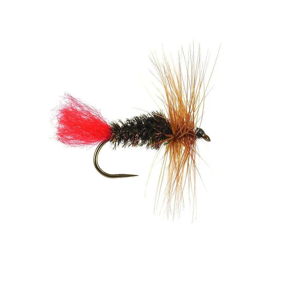Mosca Red Tag dry fly artigianale per trote e temoli