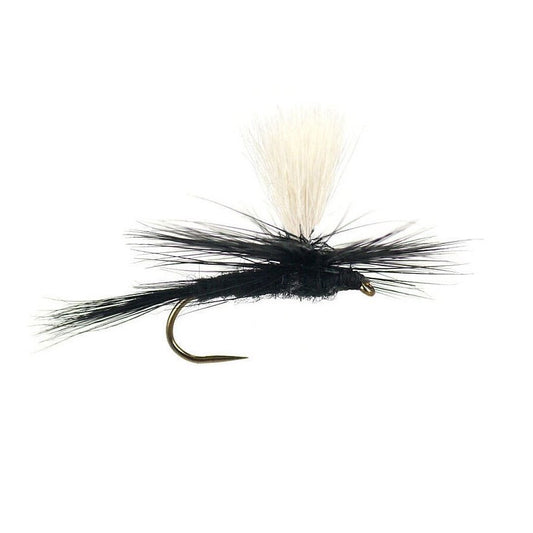 Mosca Black Gnat dry fly artigianale per trote e temoli